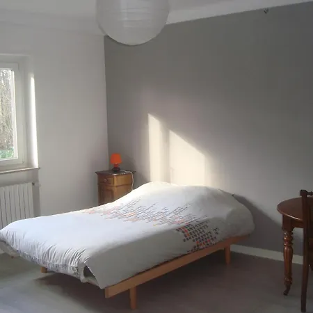 Maison Proche Du Centre De Colmar - Chez Michel Horbourg-Wihr Extérieur photo