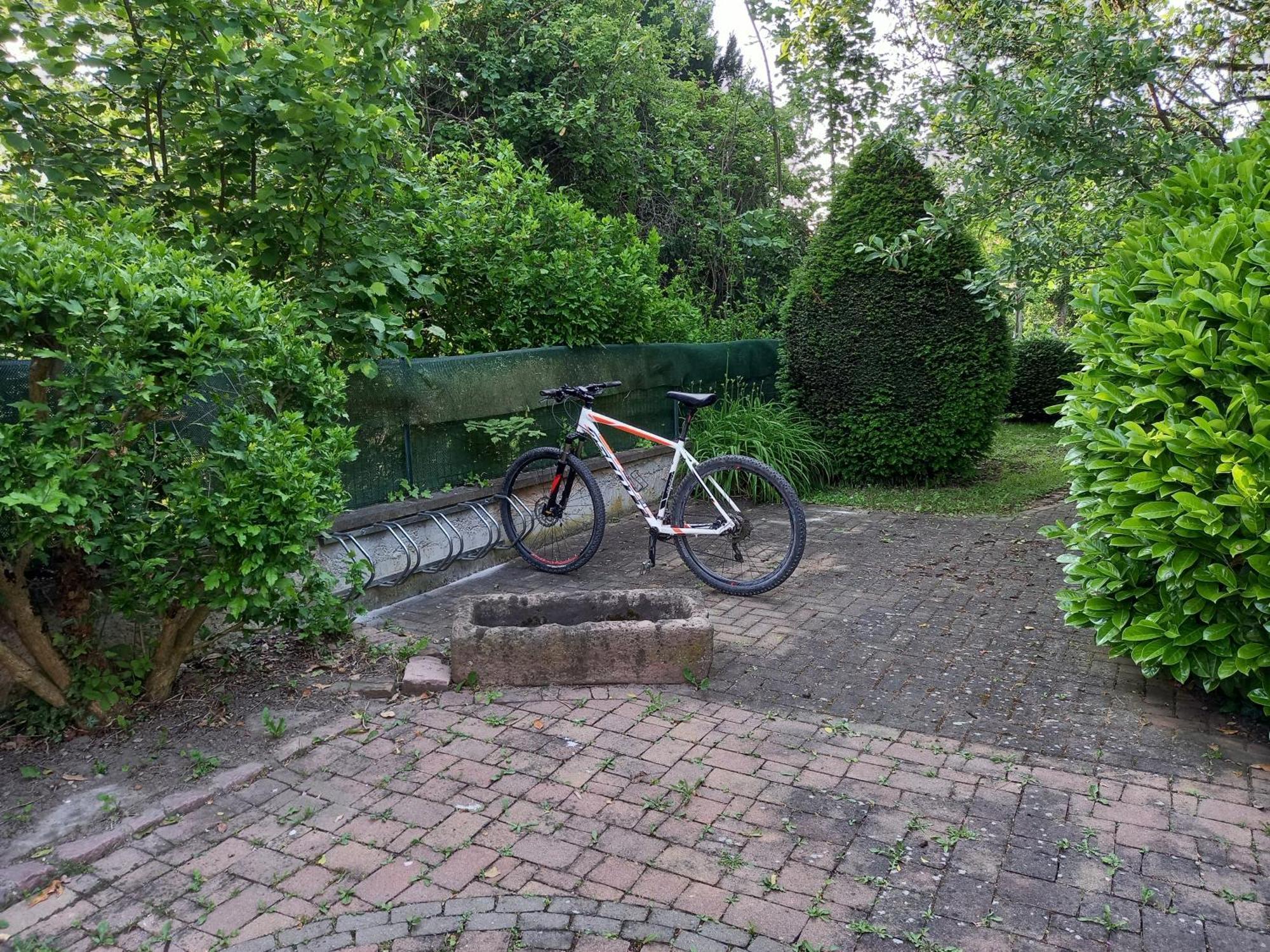 Holiday home Maison Proche Du Centre De Colmar - Chez Michel Horbourg