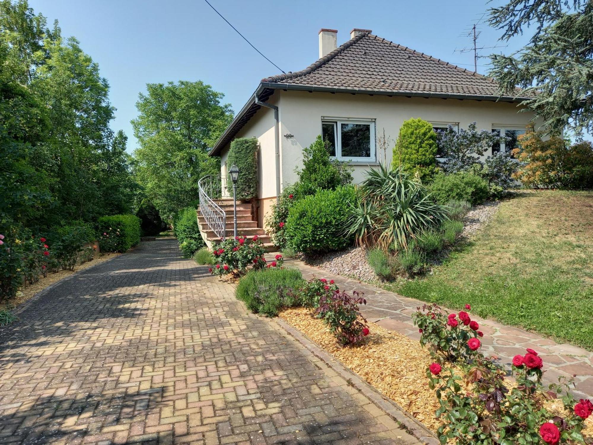 Maison Proche Du Centre De Colmar - Chez Michel Horbourg